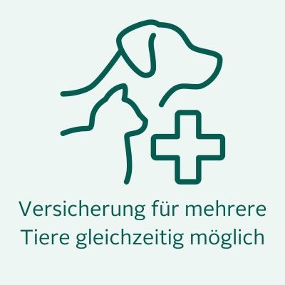 Versicherung für mehrere Tiere gleichzeitig möglich