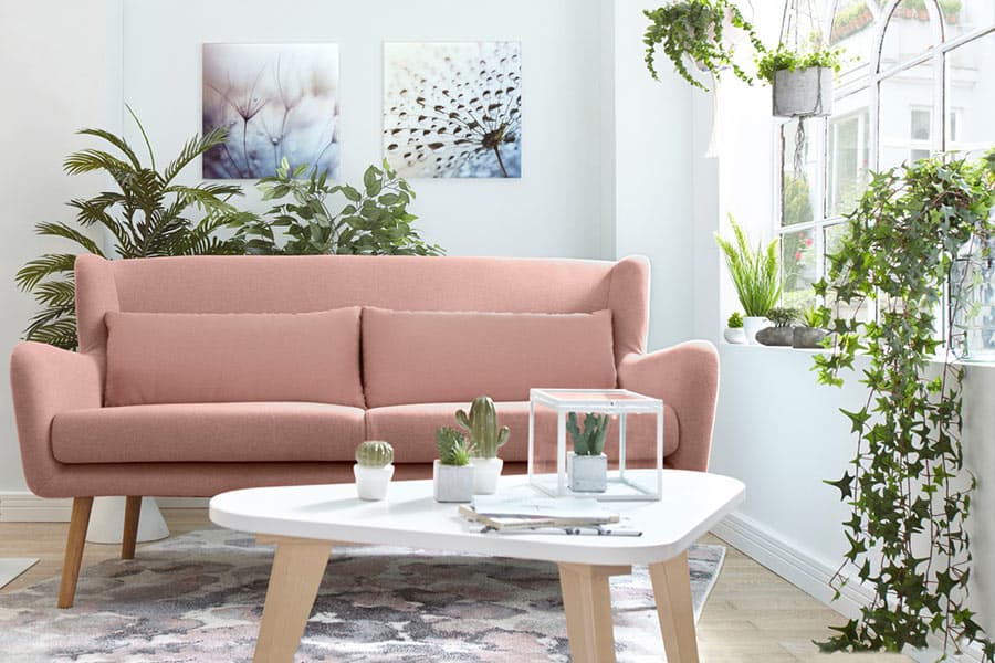 Viele Pflanzen im Zimmer