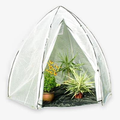 Weiße Pflanzenabdeckung schützt grüne Pflanzen und Blumen im Topf, Zeltform mit offenem Eingang, auf schwarzem Untergrund