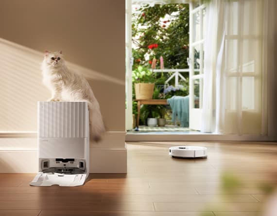 Weiße Katze sitzt auf einem Gerät, während ein runder, weißer Roboterstaubsauger über den Holzboden fährt. Tür zur Terrasse geöffnet.